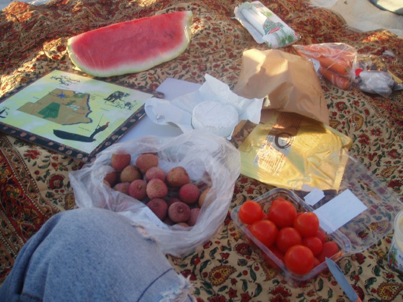 KeHa_in_South_Africa - 254